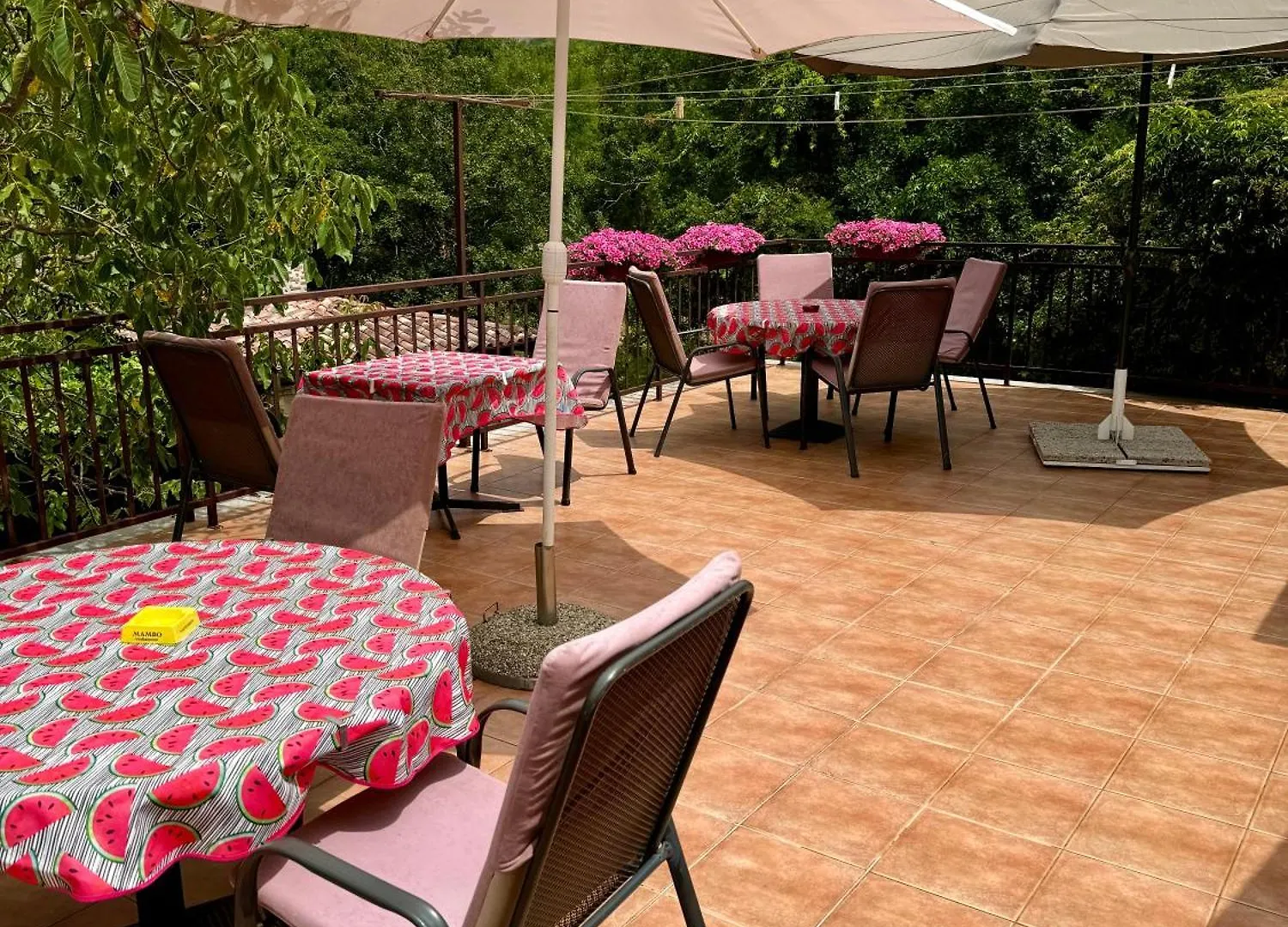 Guest House Renata Plomin